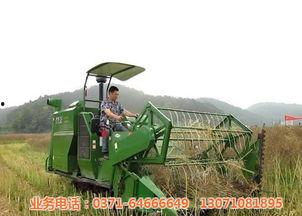 国产油菜水稻收割机视频,高效便捷的农业革新利器