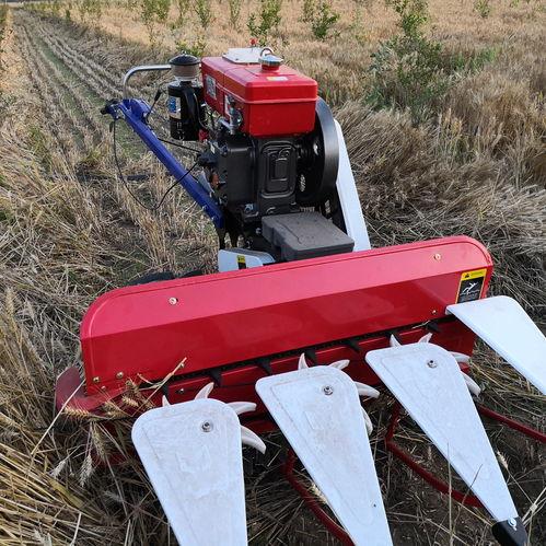 国产油菜水稻收割机视频,高效便捷的农业革新利器