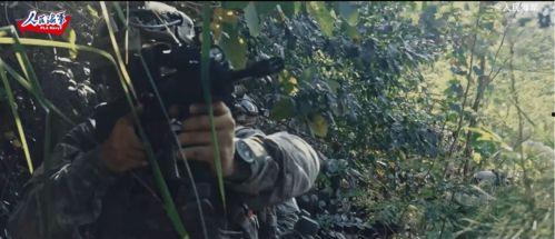 我们的国产步枪图片视频,传承与创新，铸就民族枪械辉煌