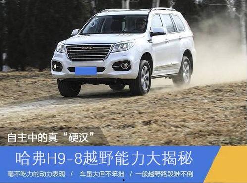国产车深度越野视频大全,深度解析越野视频大全