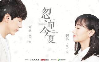 国产热播门视频播放,揭秘热门视频背后的魅力与影响力