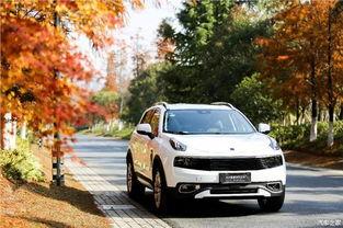 老外咋看待国产车呢视频,评价与期待