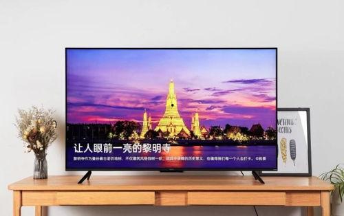 国产手机电视视频