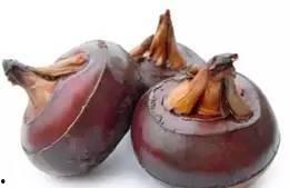 国产马蹄筋视频,传承与创新，揭秘传统工艺的现代化之路