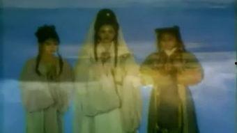 国产神话剧打老虎视频大全,国产神话剧打老虎视频大全精彩回顾