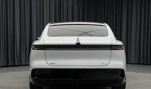 老外坐国产车视频网站