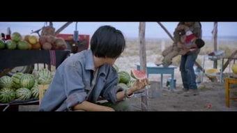 国产偷伦视频电影,揭秘隐秘角落的激情与诱惑