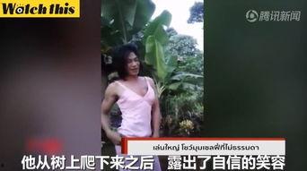 国产人妖韩若曦其他视频,国产视频中的独特魅力与多元文化探索