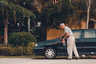 国产一哥之争完整视频,巅峰对决，谁将问鼎荣耀巅峰？