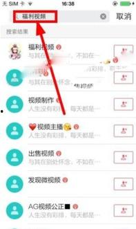 国产啪啪视频在线,揭秘国内私密娱乐产业的现状与争议