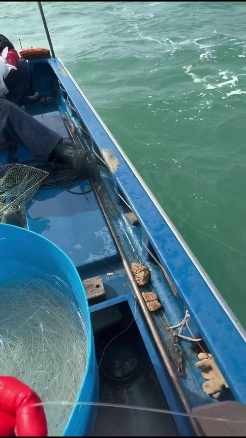 狂拉鱼货视频在线观看国产,国产生态养殖的精彩瞬间