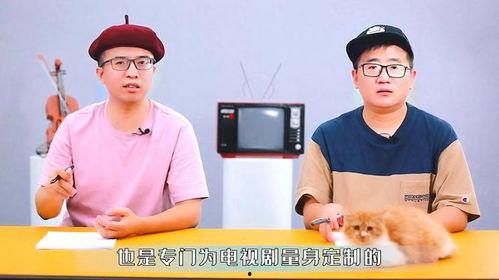 盘点国产剧歌曲大全视频,重温那些年感动我们的旋律