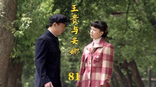 国产都市剧解说合集视频,盘点热门剧集精彩瞬间