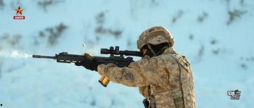 国产精确步枪连续射击视频,弹无虚发，精准制导