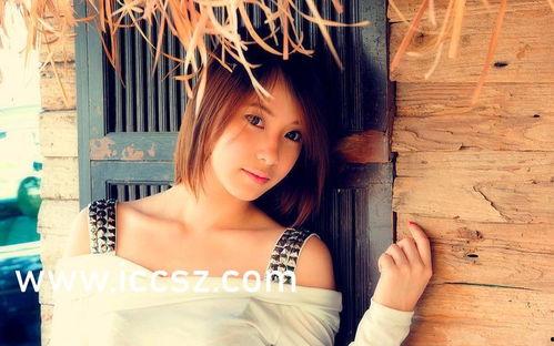 国产中文字母视频在线,探索汉字魅力与文化传承之旅